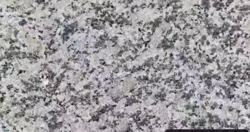 玉林 芙蓉白（芝麻白大花）火烧面