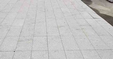 玉林芝麻白地铺案例