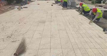 玉林黄金麻荔枝面地铺案例