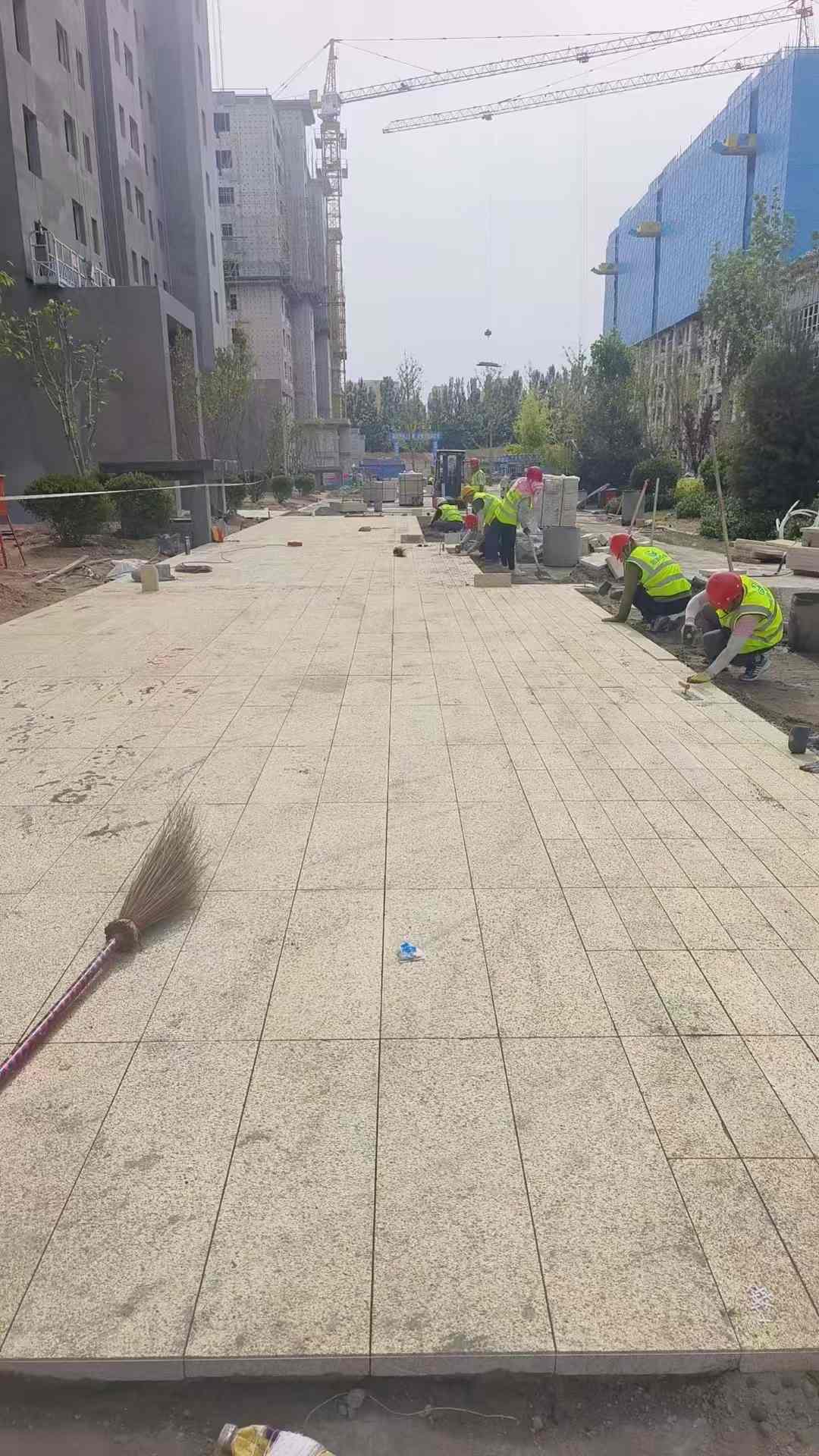 玉林黄金麻荔枝面地铺案例