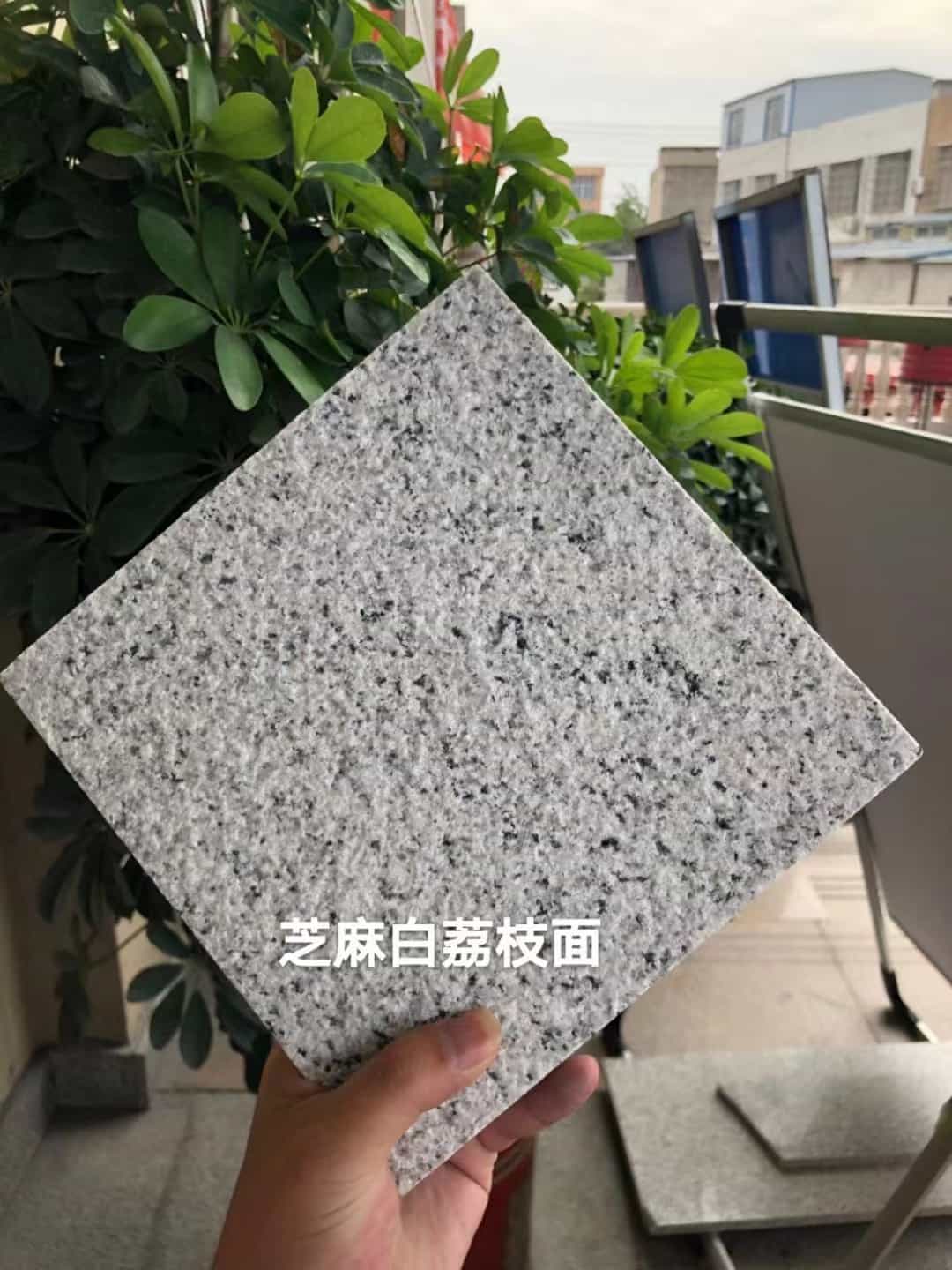 玉林 芝麻白荔枝面干挂