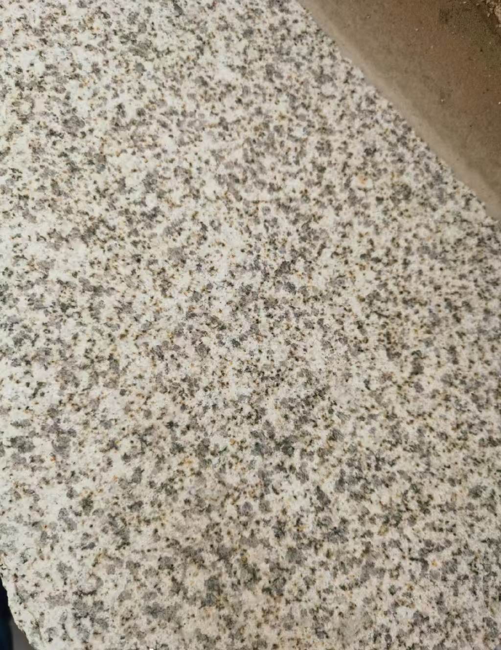 玉林 黄金麻中黄光面