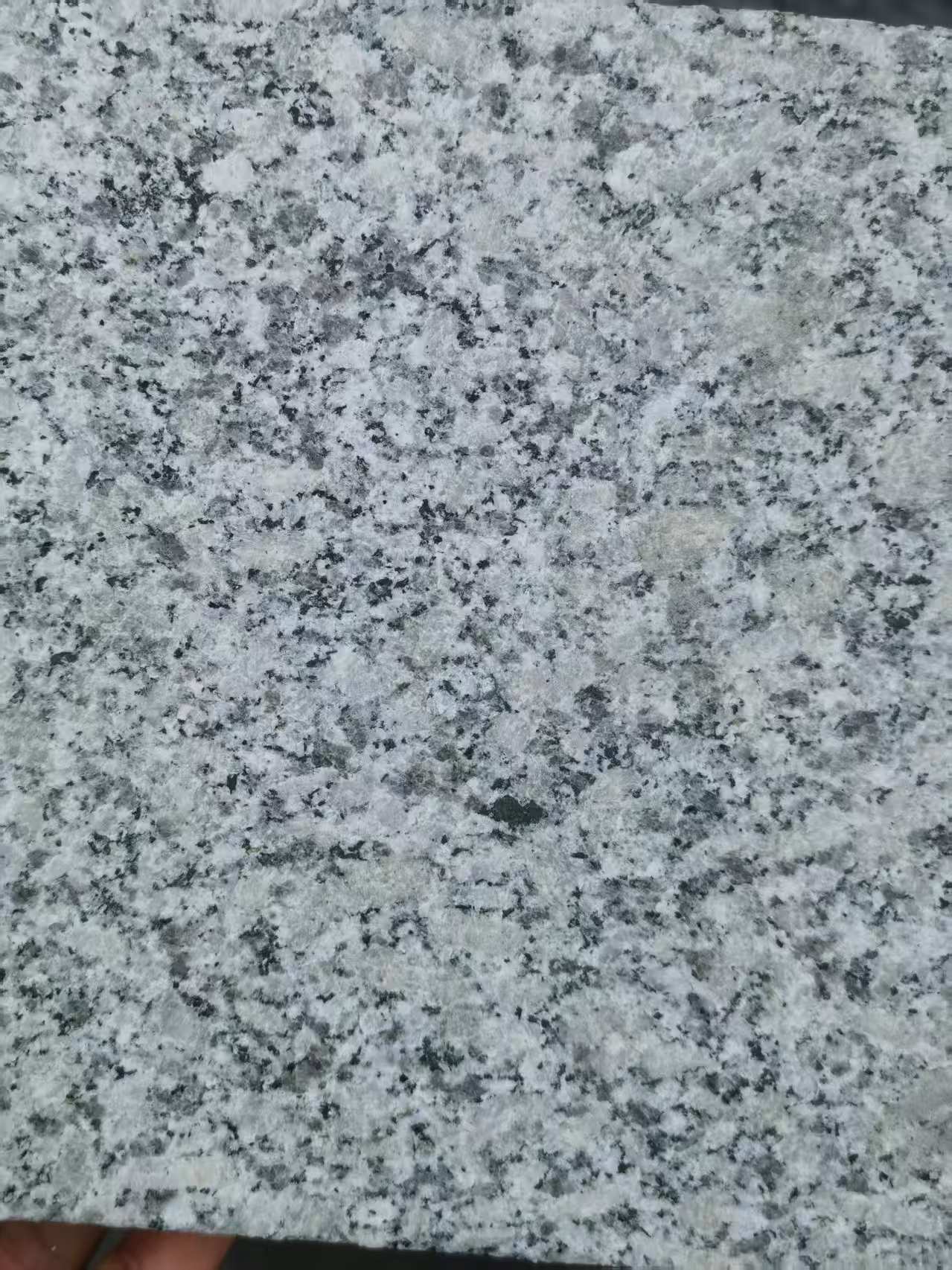 玉林 芙蓉白火烧面
